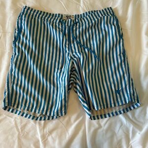 Polo Ralph Lauren Teal and White Striped Swim Shorts